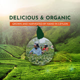 tekola Tea Co. - Organic Gunpowder Green Tea, Grown, Processed and Packed in Ceylon, loose leaf - 16 ounces