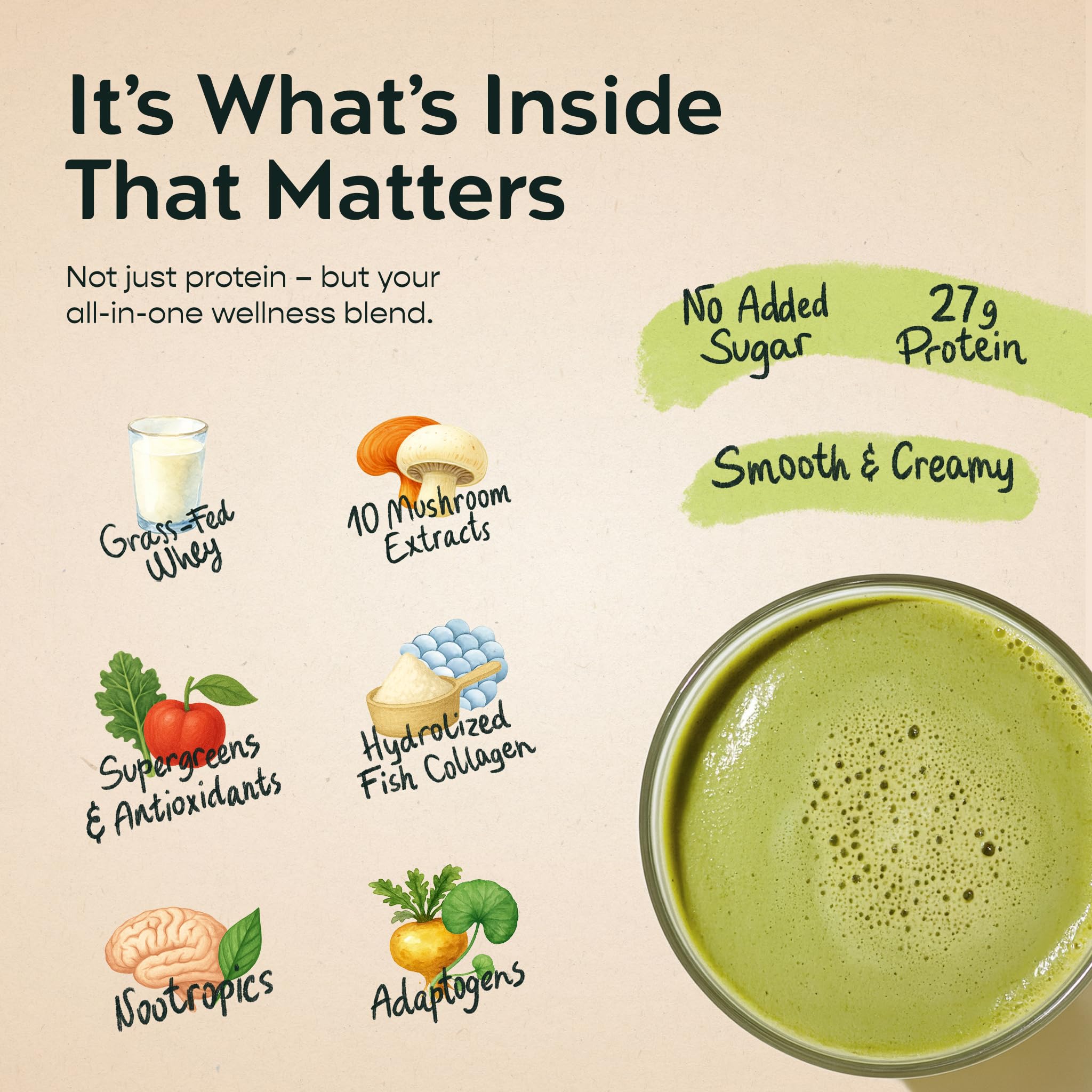 EARTHFUL Boba Whey Protein 27g Grass-Fed Whey & Collagen, Boba Tea with Supergreens, 10 Mushrooms, Adaptogens, Nootropics, No Added Sugar Meal