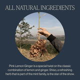 Rishi Organic Pink Lemon Ginger Tea, 15 CT