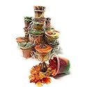 Mexican Candy Sugar Cup with Saladito 40 Pieces by IGUEY Snacks