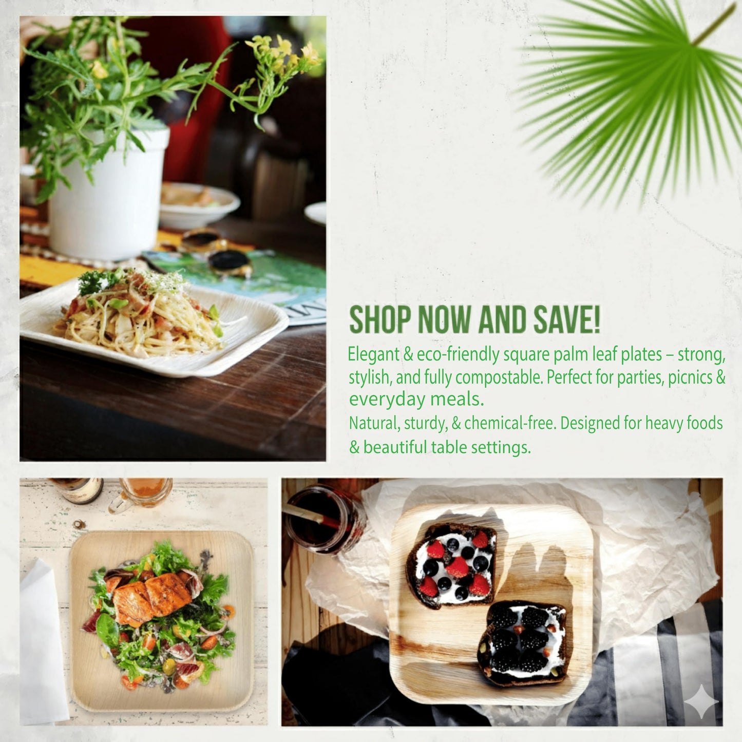 AriaTraders Palm Leaf Plates 10 Inch (50-Pack), Square Bamboo Plates Disposable, Heavy Duty Compostable & Biodegradable Wooden Plates for Party
