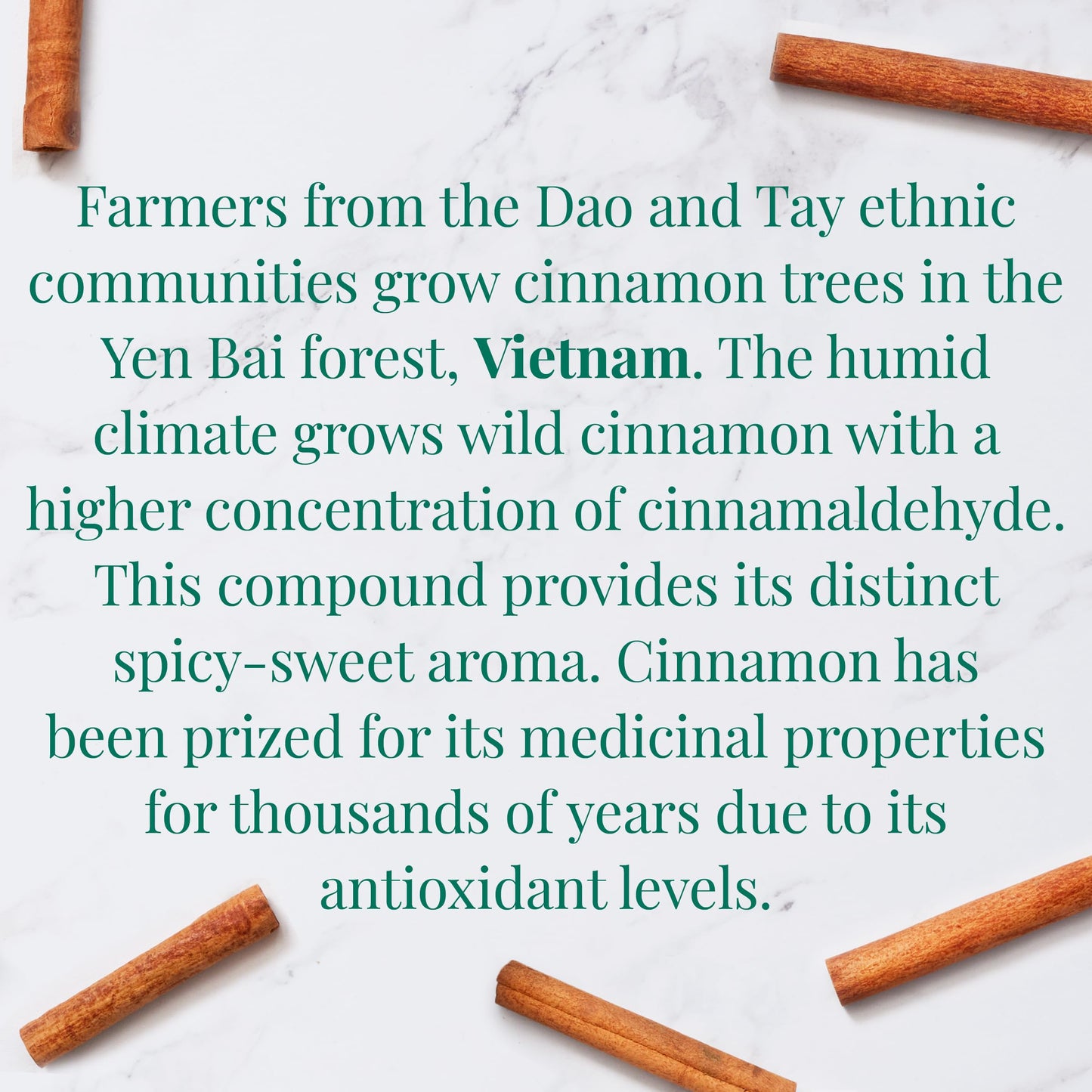 The Republic of Tea - Organic Vietnamese Cinnamon SuperHerb Tea Tin, 36 Herbal Tea Bags, Naturally Caffeine-Free Herbs of Origin