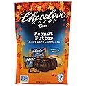 Chocolove Peanut Butter In Dark Chocolate Bites, 55% Cacao | Non GMO, Rainforest Alliance Certified Cacao, Certified Kosher | 7.05 oz Per Pack