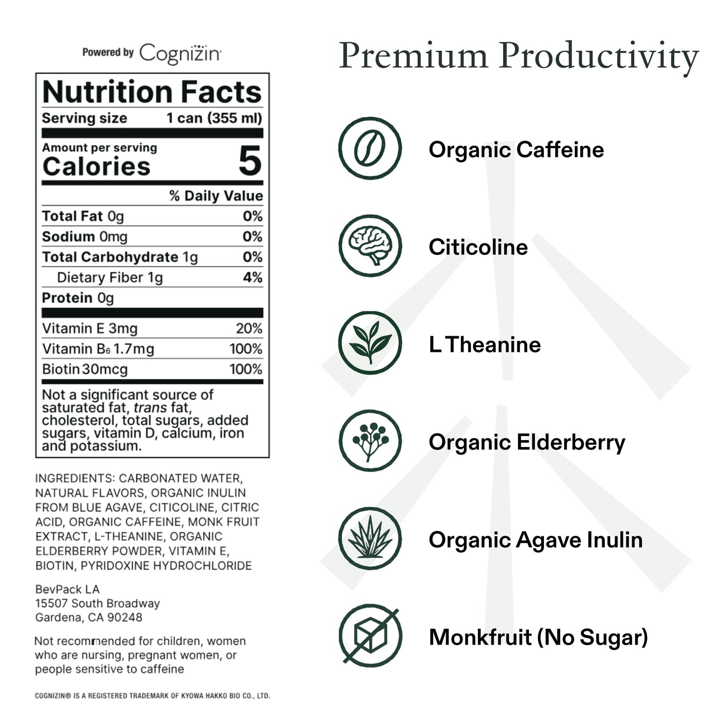 STAED Organic Energy Drinks, Clean Natural Productivity Drink with Cognizin® Citicoline & L-Theanine, Sparkling Functional Beverage, Clean Caffeine