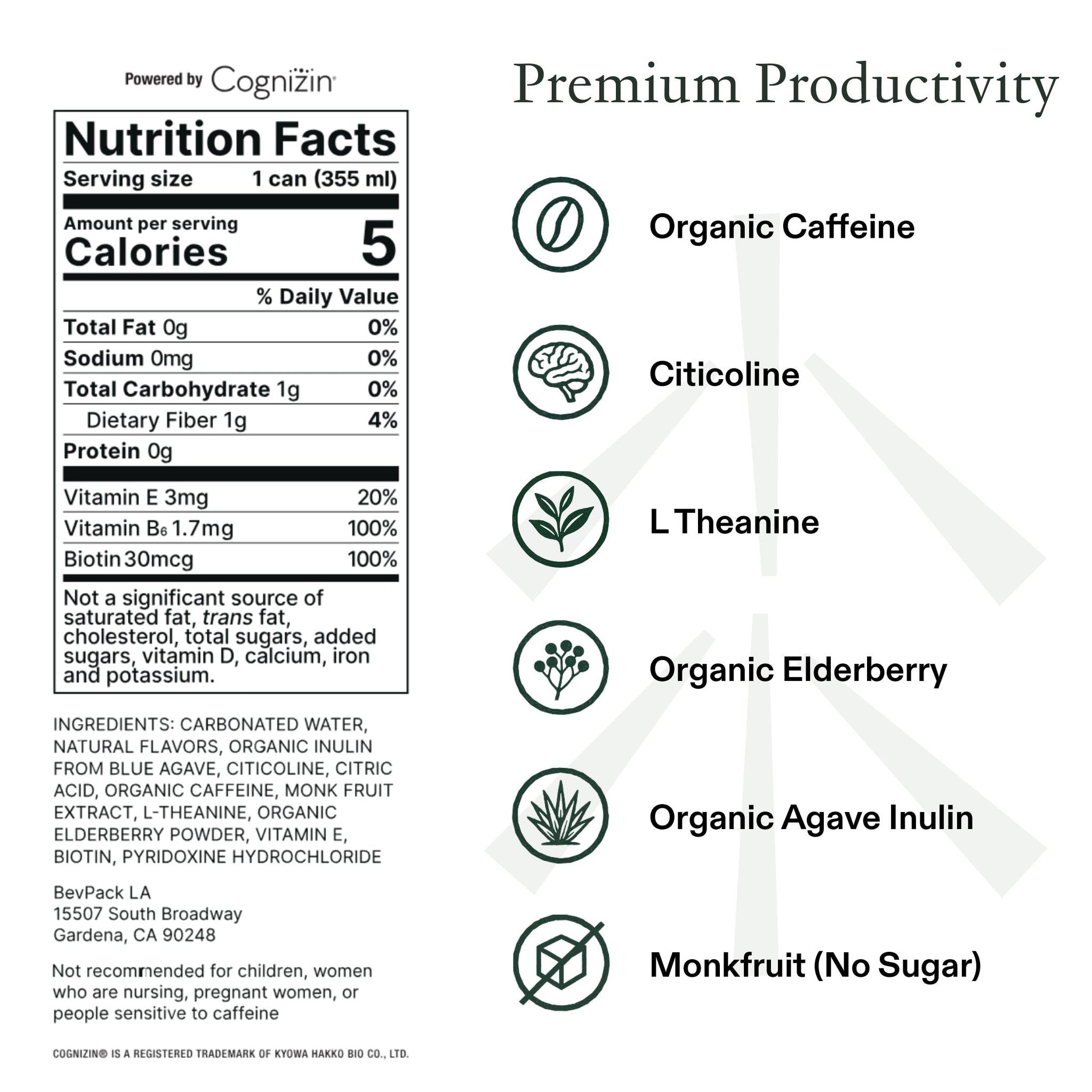 STAED Organic Energy Drinks, Clean Natural Productivity Drink with Cognizin® Citicoline & L-Theanine, Sparkling Functional Beverage, Clean Caffeine