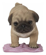 Hi-Line Gift Pug Mopping The Floor