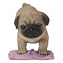 Hi-Line Gift Pug Mopping The Floor