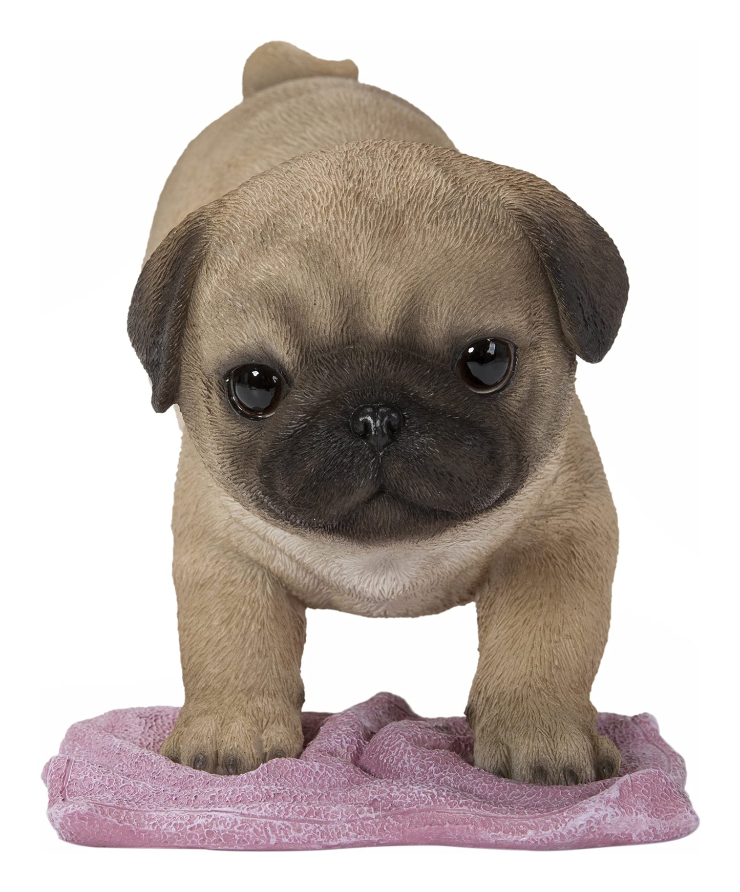Hi-Line Gift Pug Mopping The Floor