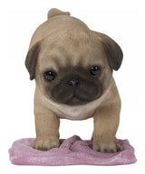 Hi-Line Gift Pug Mopping The Floor