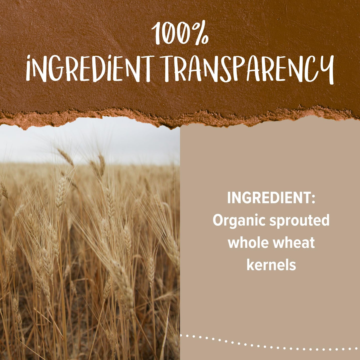 One Degree Organics Sprouted Whole Wheat Flour, Glyphosate-Free, USDA Organic, Whole Grain, High Fiber, Non-GMO, Vegan, Kosher, White Flour