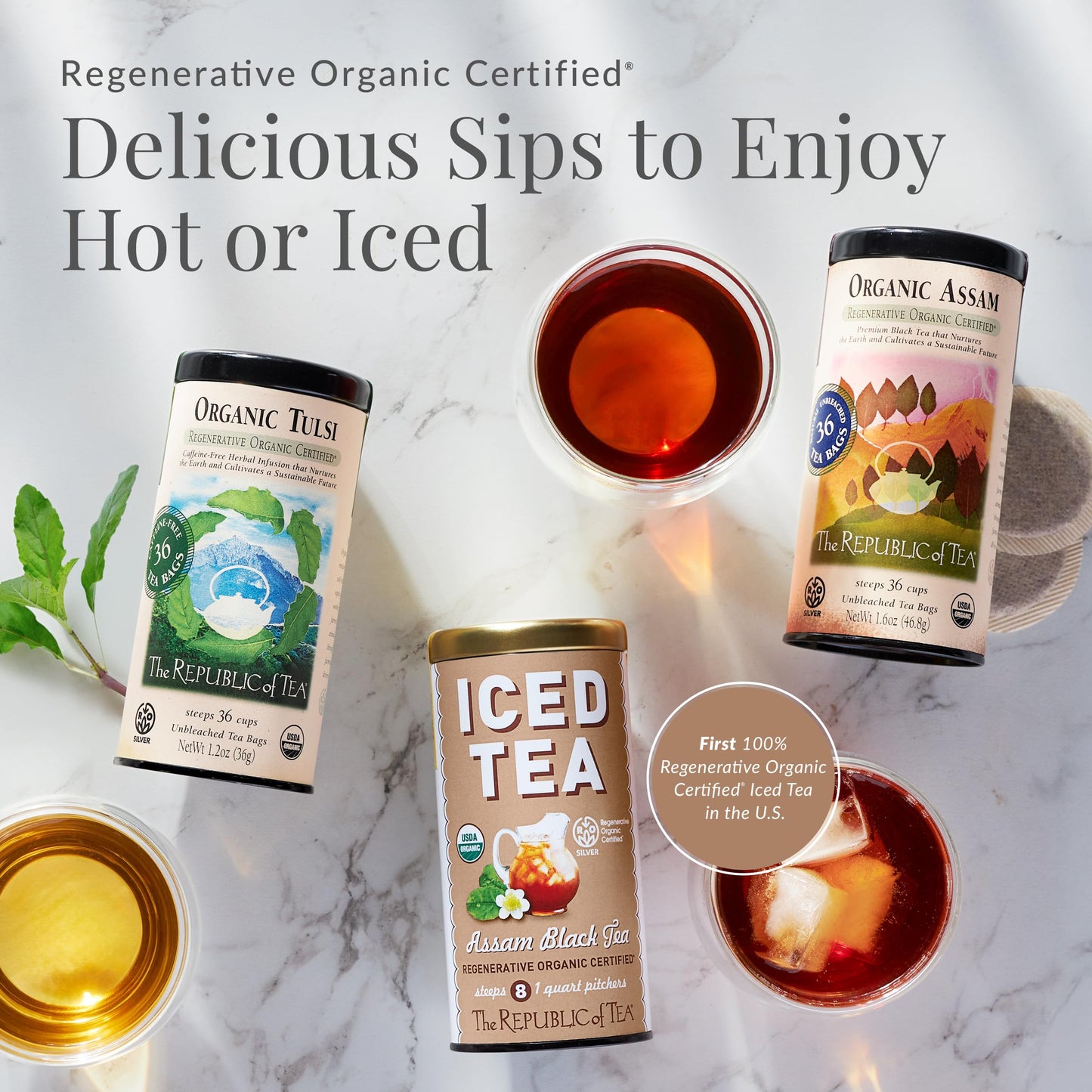 The Republic of Tea - Organic Tulsi, 36 Caffeine-Free Herbal Tea Bags, Regenerative Organic Certified