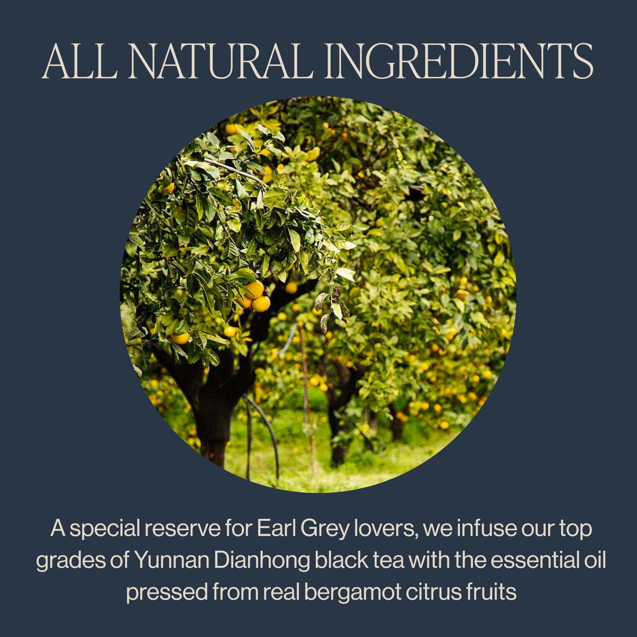 Rishi Tea Earl Grey Supreme Tea - Organic, Caffeinated Loose Leaf Tea with Bergamot Oil and Top Grade Yunnan Black Tea - 4 Ounces, 12+ Servings