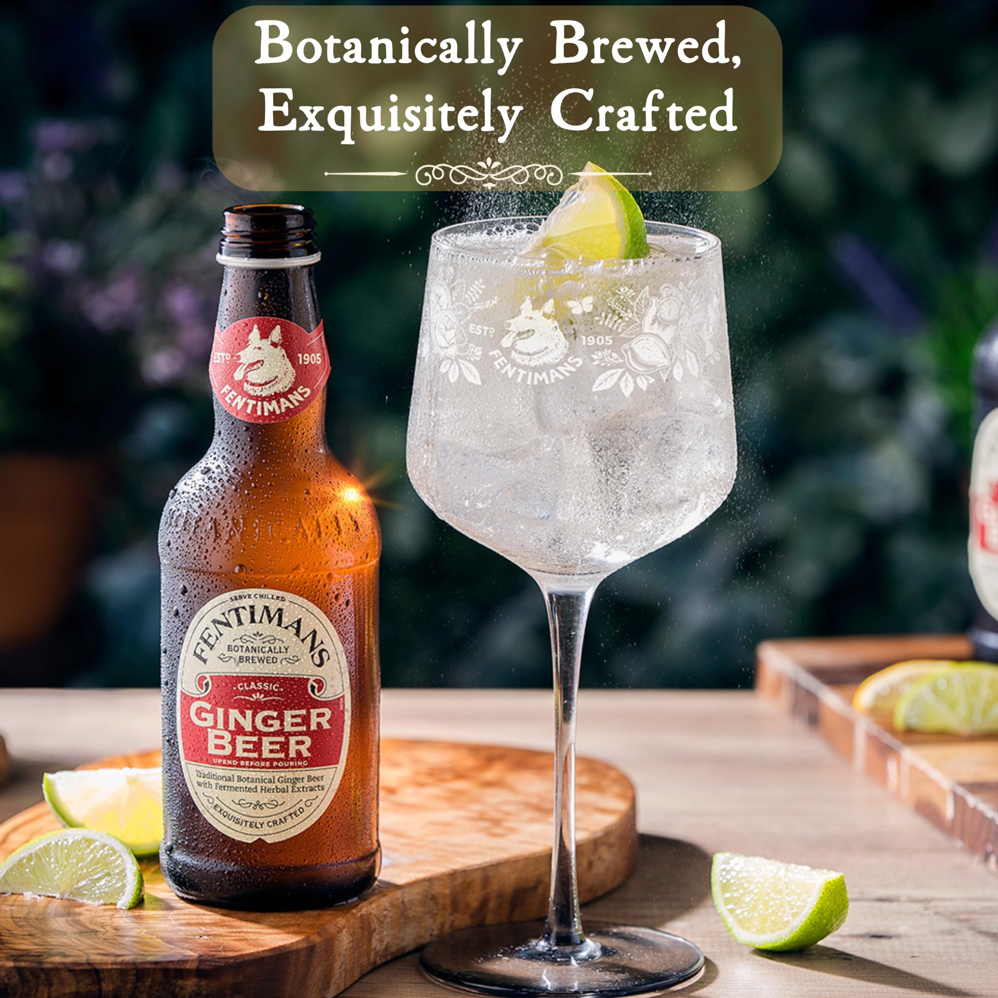 Fentimans Sparkling Ginger Beer - Ginger Ale, Ginger Beer Non Alcoholic, Craft Soda with Herbal Extracts & Natural Ingredients, Botanically Brewed