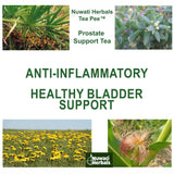 Tea Pee - Prostate Support Tea - Herbal Remedies from Nuwati Herbals - For Healthy Bladder Functions, Loose Blend, 4 Ounces