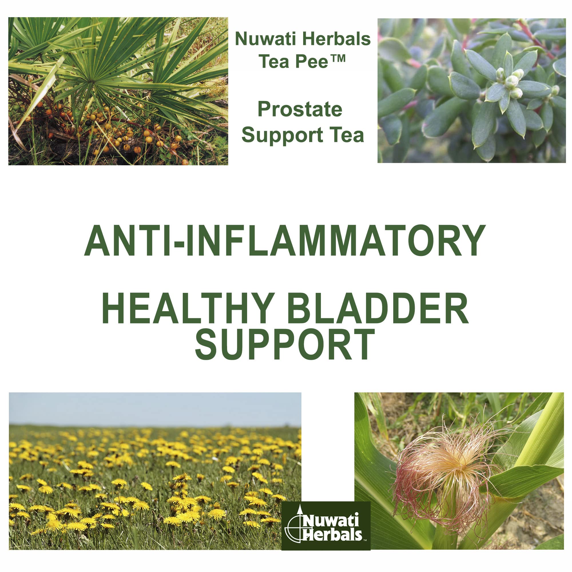 Tea Pee - Prostate Support Tea - Herbal Remedies from Nuwati Herbals - For Healthy Bladder Functions, Loose Blend, 4 Ounces