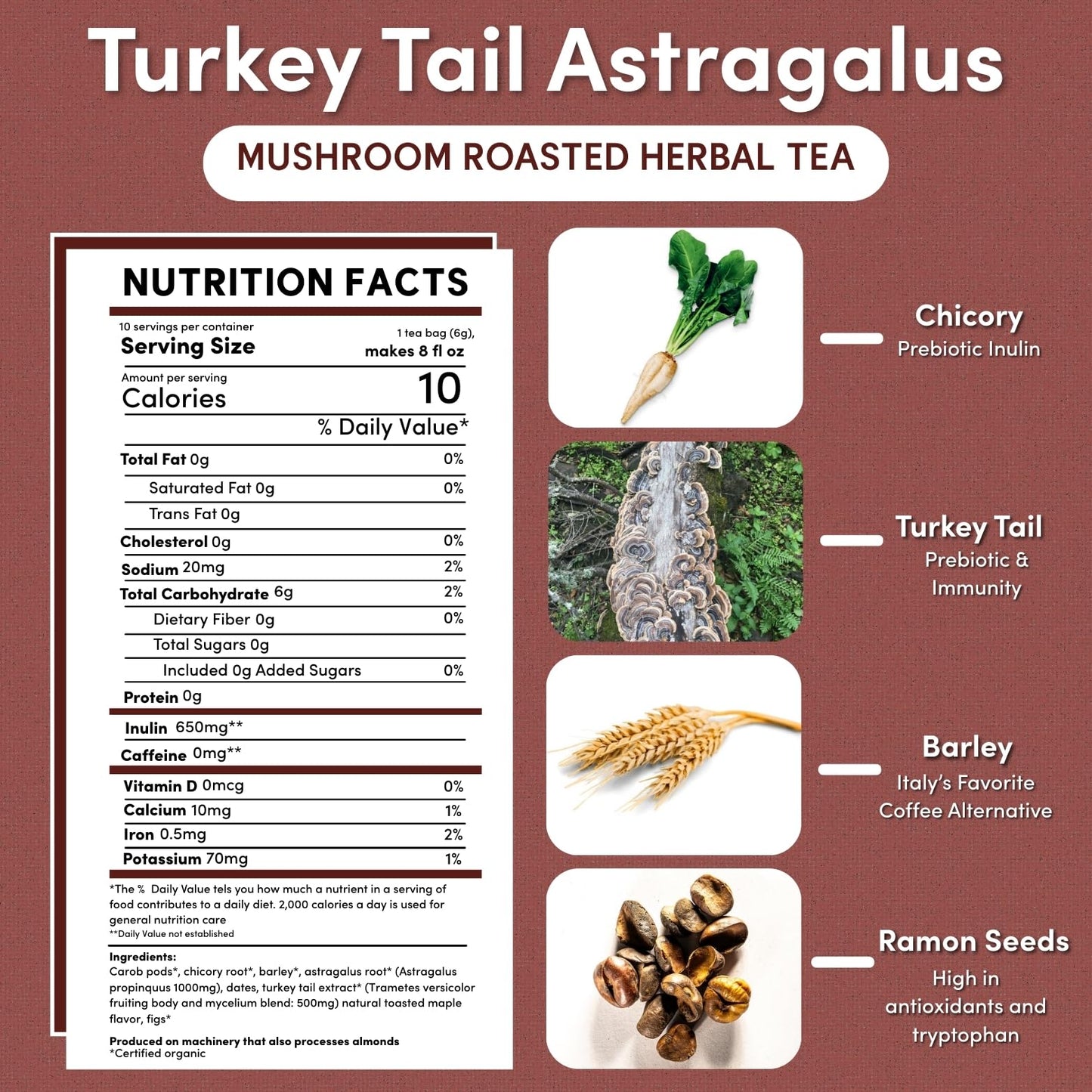 Teeccino Turkey Tail Astragalus - Toasted Maple - Caffeine Free Mushroom Adaptogenic Herbal Tea, 3x More Herbs than Regular Tea Bags, Lightly Sweet