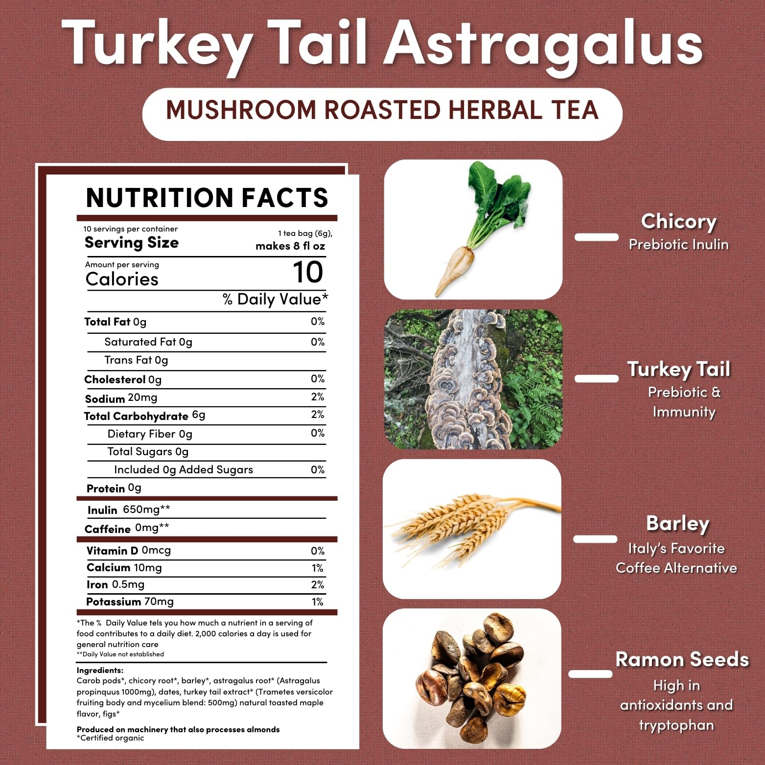 Teeccino Turkey Tail Astragalus - Toasted Maple - Caffeine Free Mushroom Adaptogenic Herbal Tea, 3x More Herbs than Regular Tea Bags, Lightly Sweet