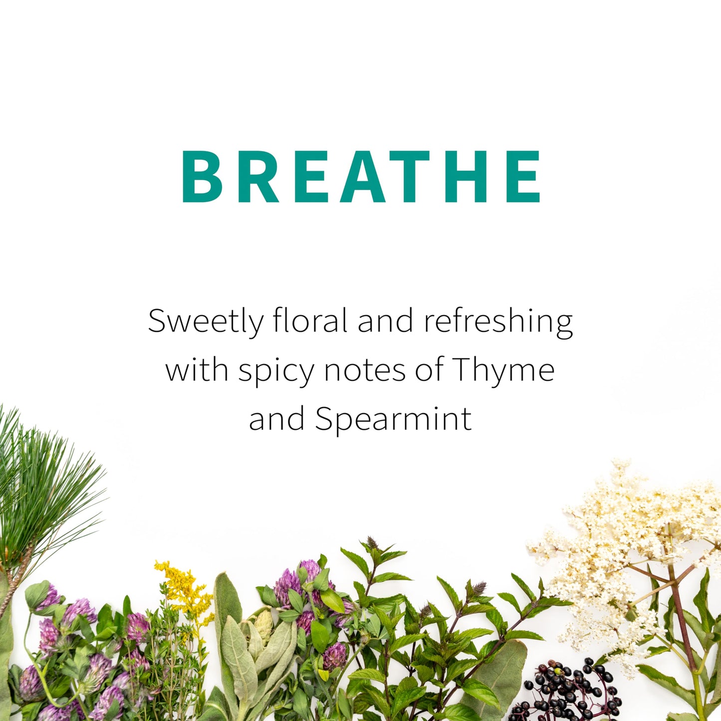 Breathe Herbal Tea | Sacred Blossom Farm | 1.9 oz. Loose Leaf | Sinus and Allergy Relief* | Organically Grown in Wisconsin | Herbal Tea & Medicinal