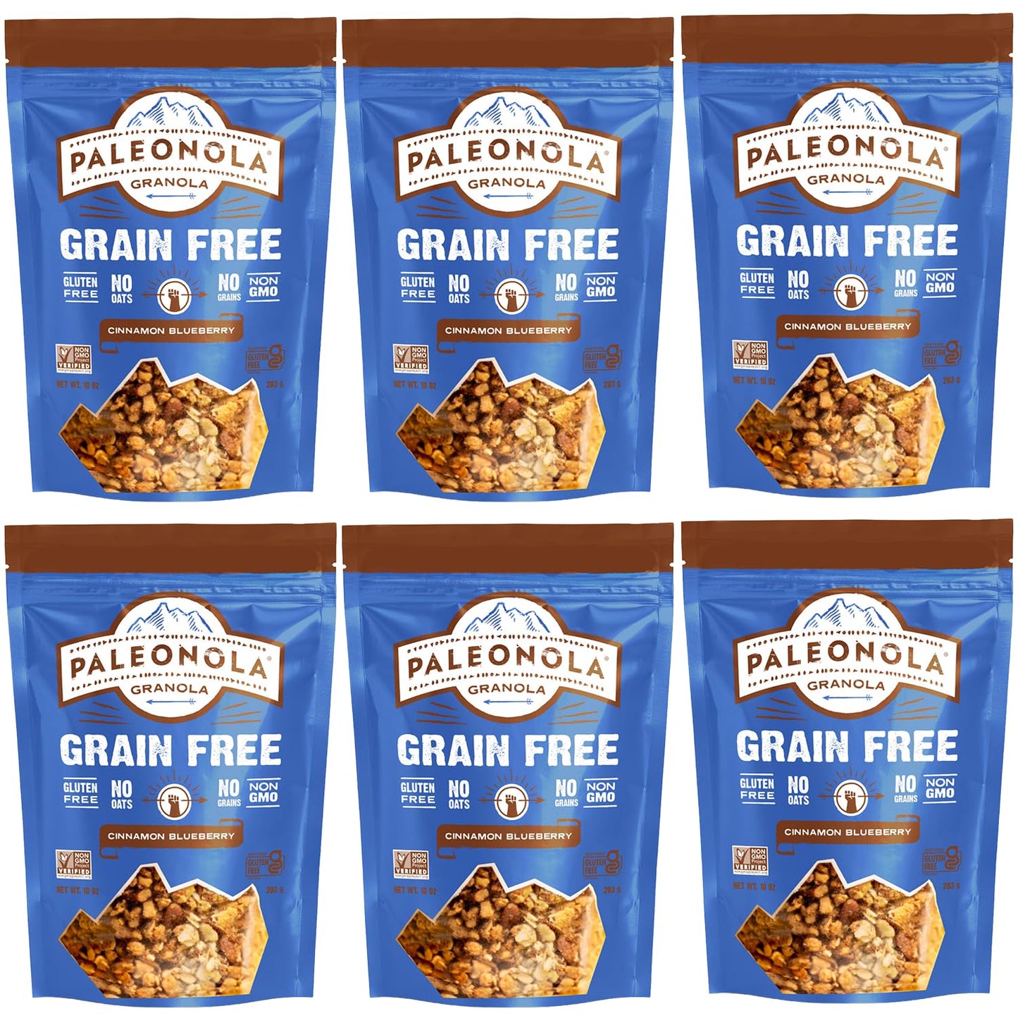 Paleonola Cinnamon Blueberry Grain Free Granola, 10 Oz Resealable Bag (Pack of 6) - Grainless Paleo Granola Blended w/Dried Coconut & Blueberries