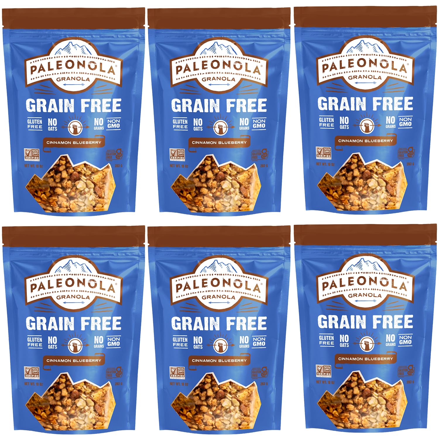Paleonola Cinnamon Blueberry Grain Free Granola, 10 Oz Resealable Bag (Pack of 6) - Grainless Paleo Granola Blended w/Dried Coconut & Blueberries