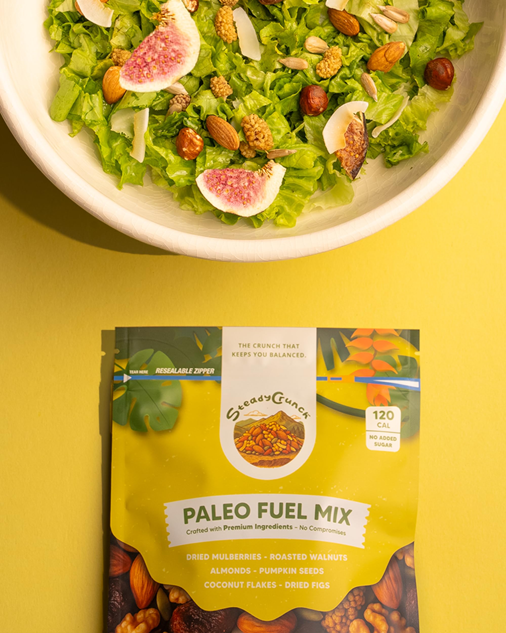 SteadyCrunch Paleo Fuel Trail Mix - Non-GMO & Gluten Free Healthy Snacks - Vegan Mixed Nuts and Dried Fruit Snack Packs - Walnuts, Almonds & Fig