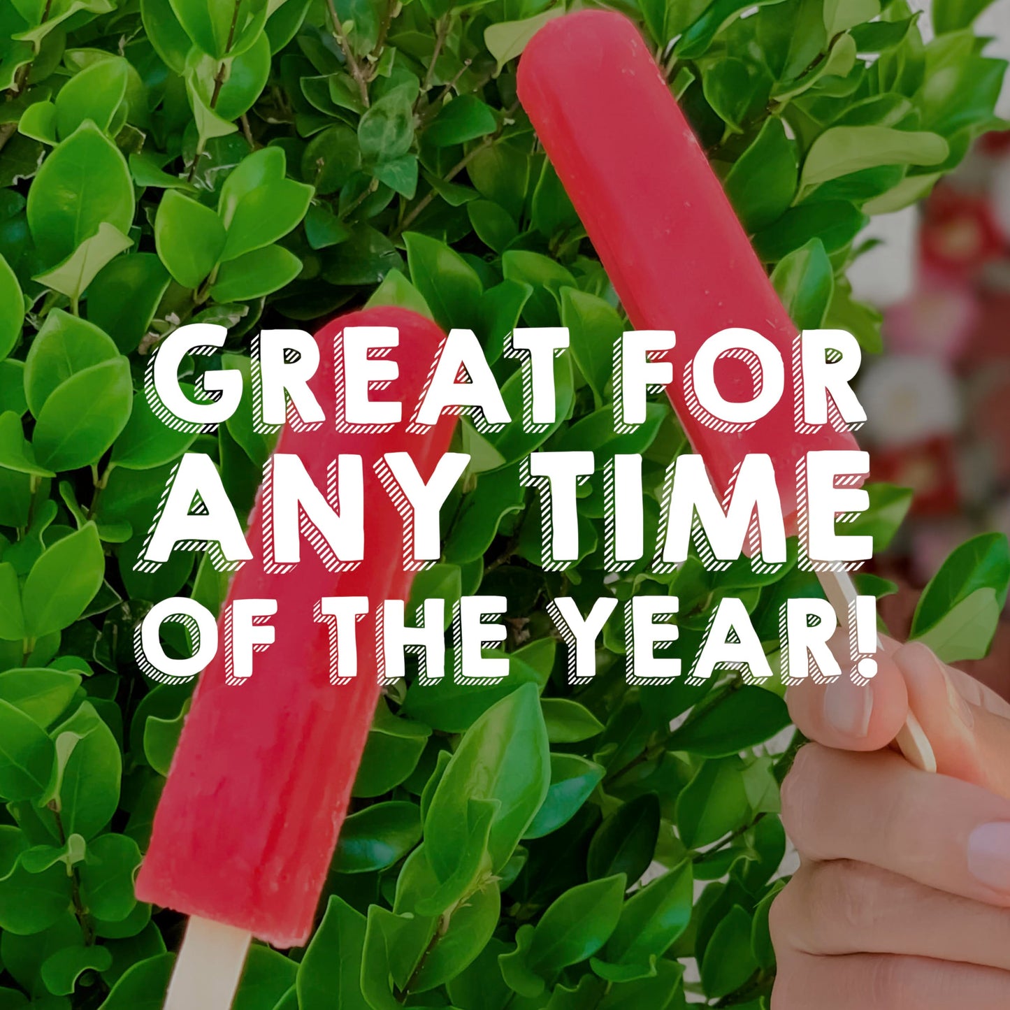 Popsicle Ice Pops Orange Cherry Grape 18 Ice Pops For a Tasty Frozen Dessert 40 Calories per ice pop