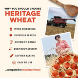 Sunrise Flour Mill USDA Organic Heritage Pizza Flour - 2 lbs | Organic Milled Flour from Hard Red Wheat | Easier to Digest with Less Bloating | No