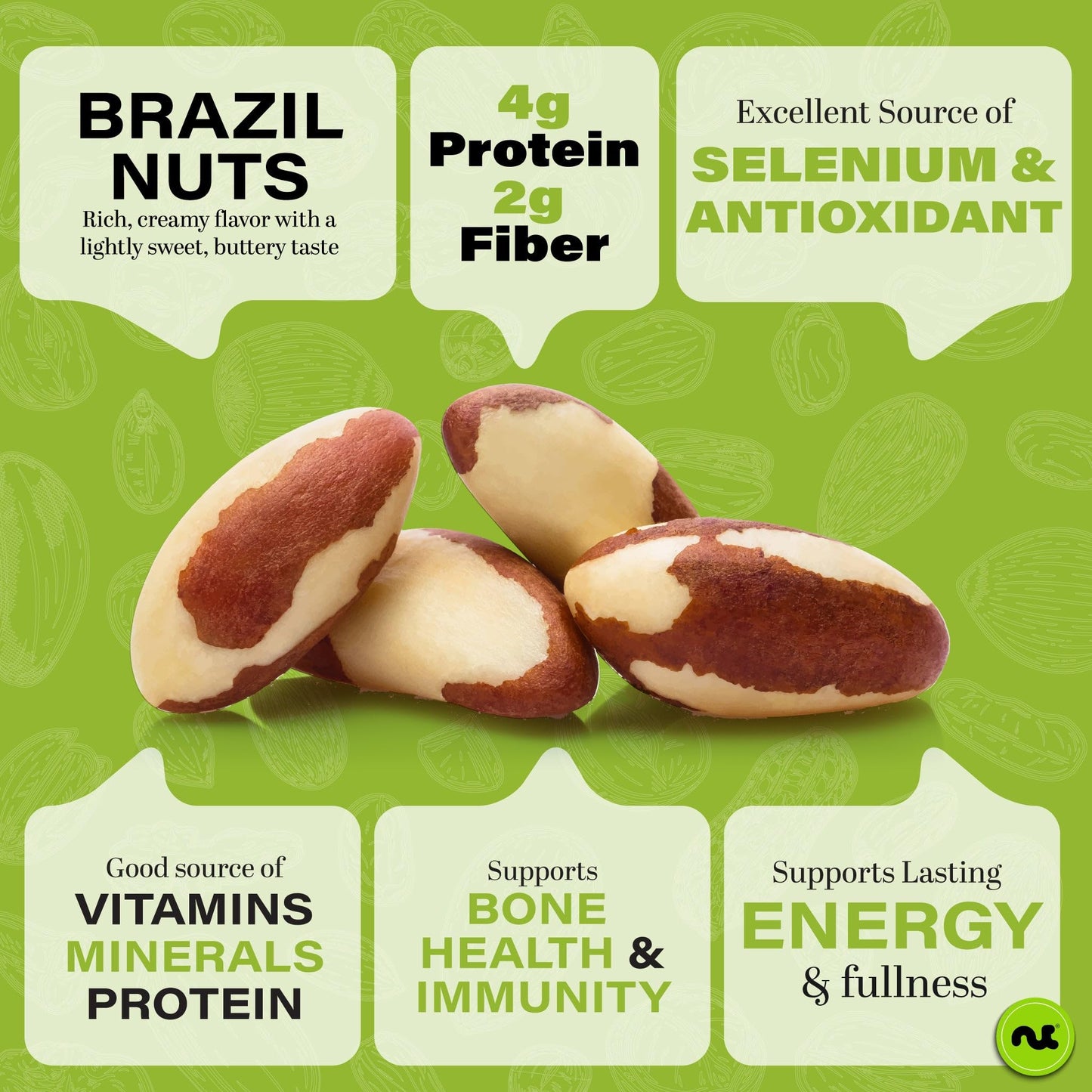 NUT CRAVINGS - Raw Brazil Nuts, Unsalted, No Shell, Whole, (16oz - 2 Pack) Packed Fresh in Resealable Bag - Kosher Healthy Snack, Food Assortments