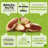 NUT CRAVINGS - Raw Brazil Nuts, Unsalted, No Shell, Whole, (16oz - 2 Pack) Packed Fresh in Resealable Bag - Kosher Healthy Snack, Food Assortments