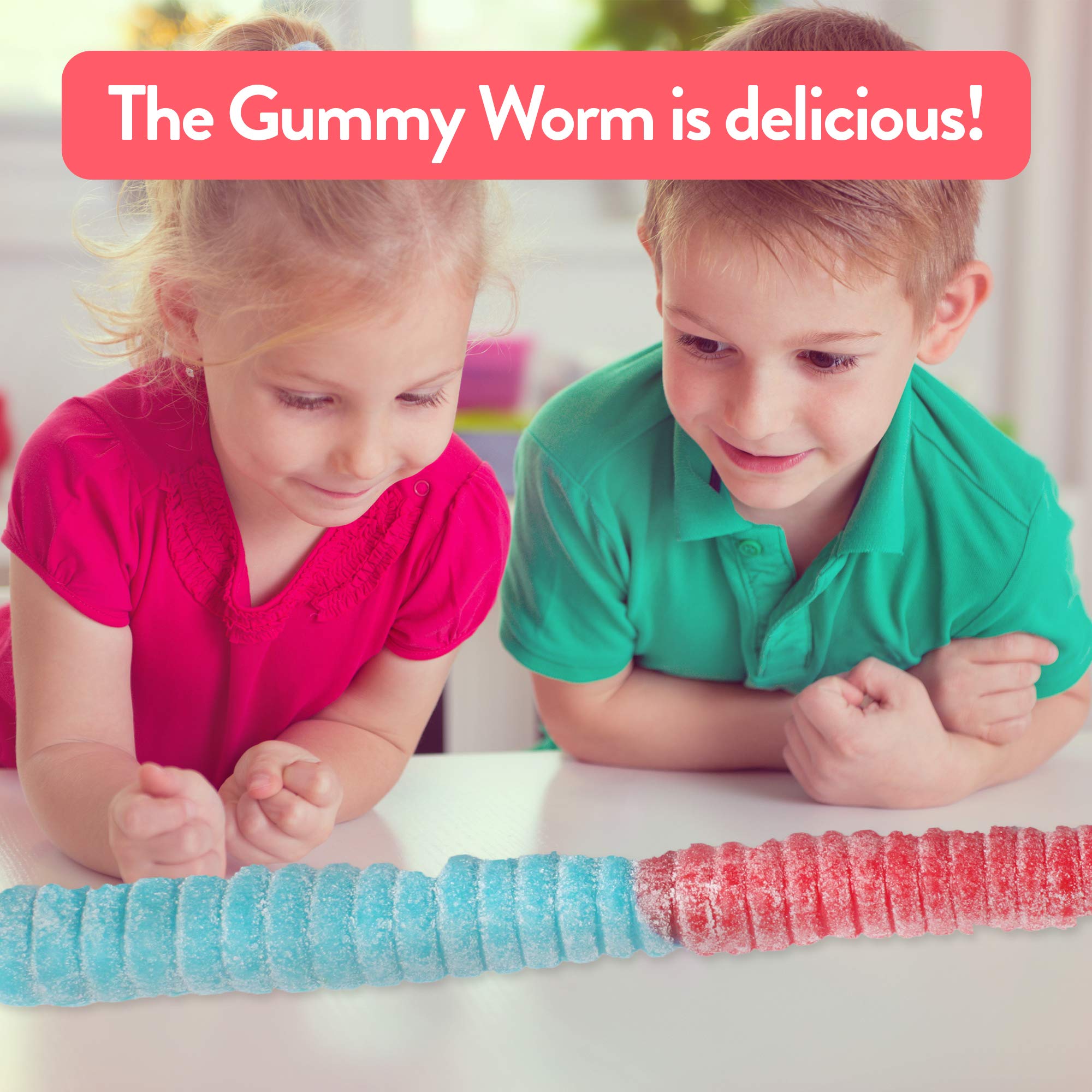 The Gummy Bear Guy | SOUR World's Largest Gummy Worm | Cherry/Blue Raspberry (Cherry/Blue Raspberry)