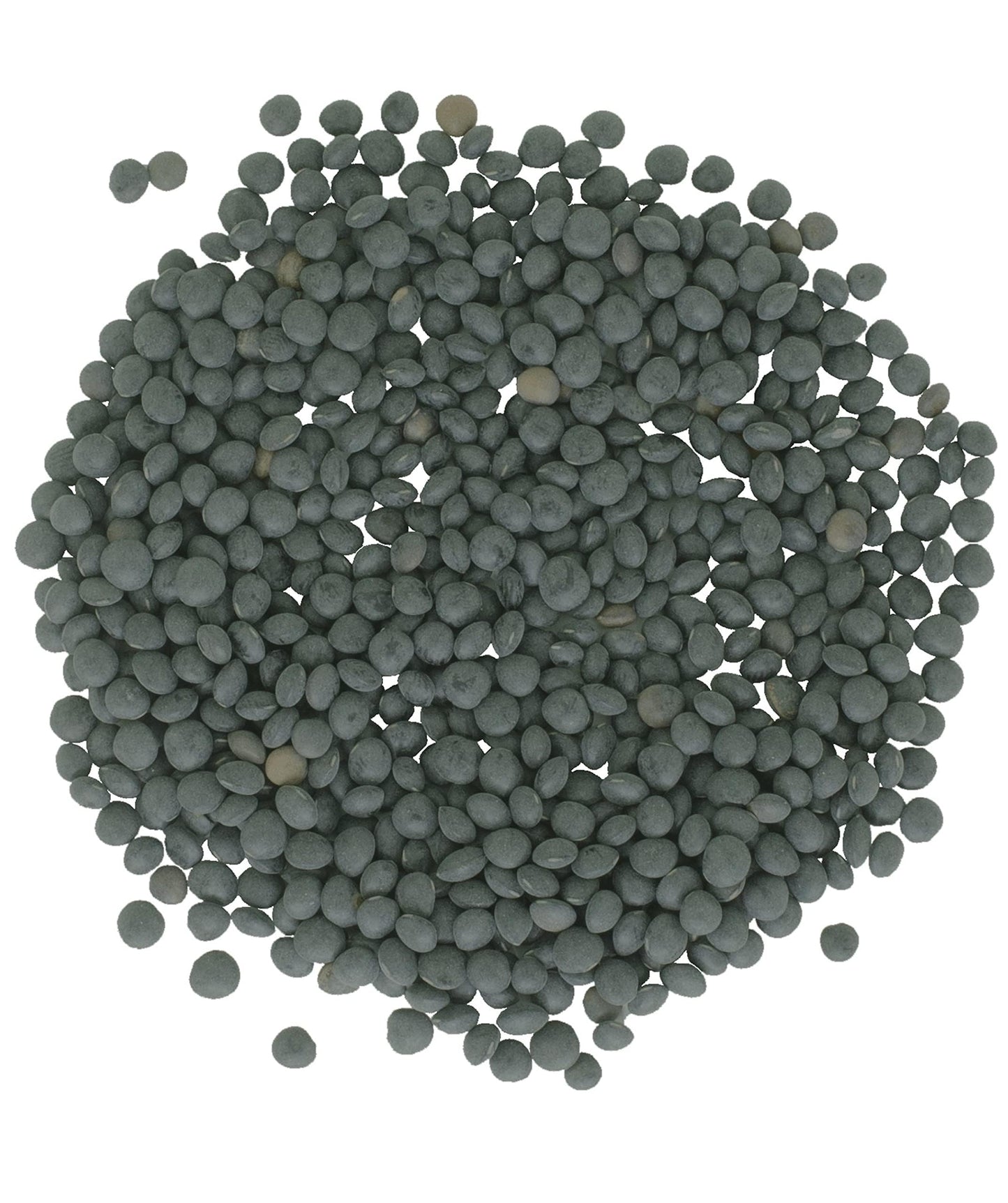 CLEAR CREEK Black Lentils | Caviar or Beluga Lentils| 18 lbs | Non-GMO | Kosher | Premium Quality | Versatile | Ideal for Healthy Cooking