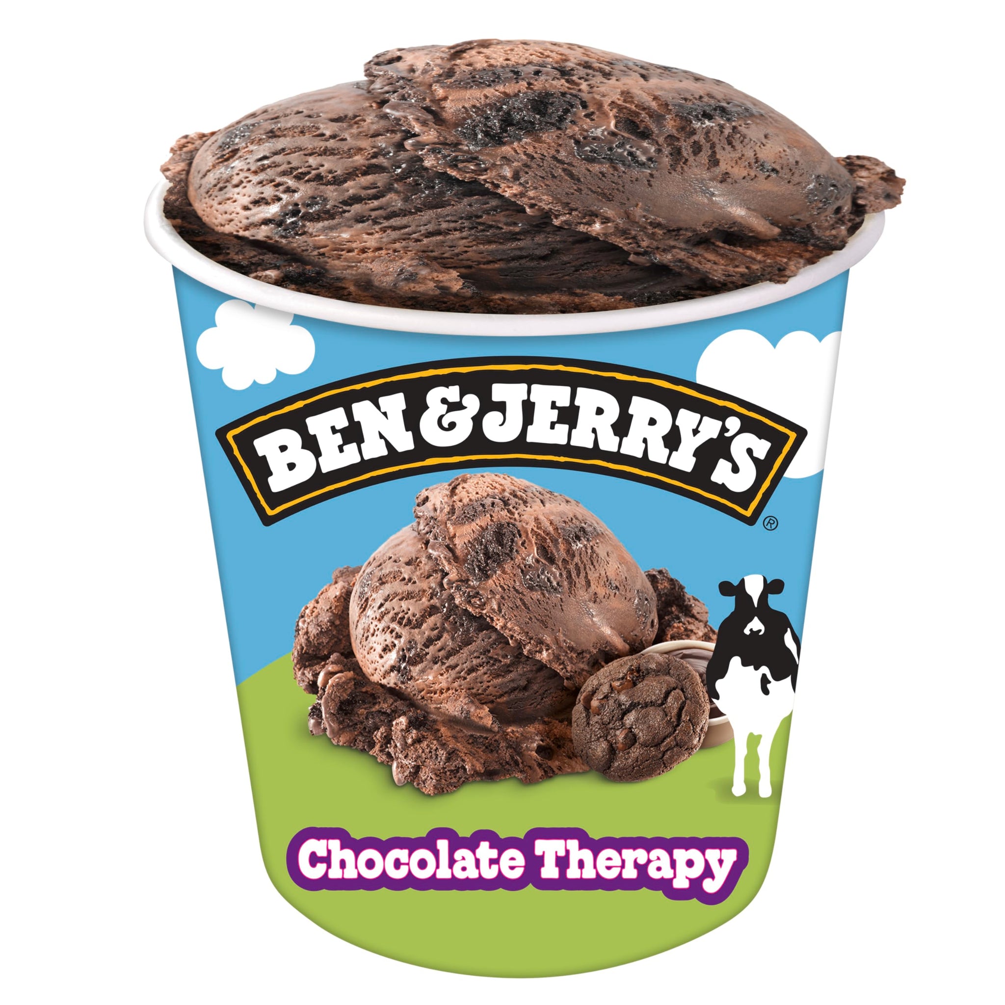 Ben & Jerry's Ice Cream Chocolate Therapy 16 oz