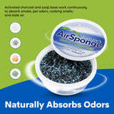 ODOR ABSORBER 0.5LB 1PK