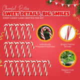 Christmas Mini Candy Canes - Red & White Peppermint Individually Wrapped for Holiday Indulgence - Bulk Christmas Candy for Kids & Adults - Holiday