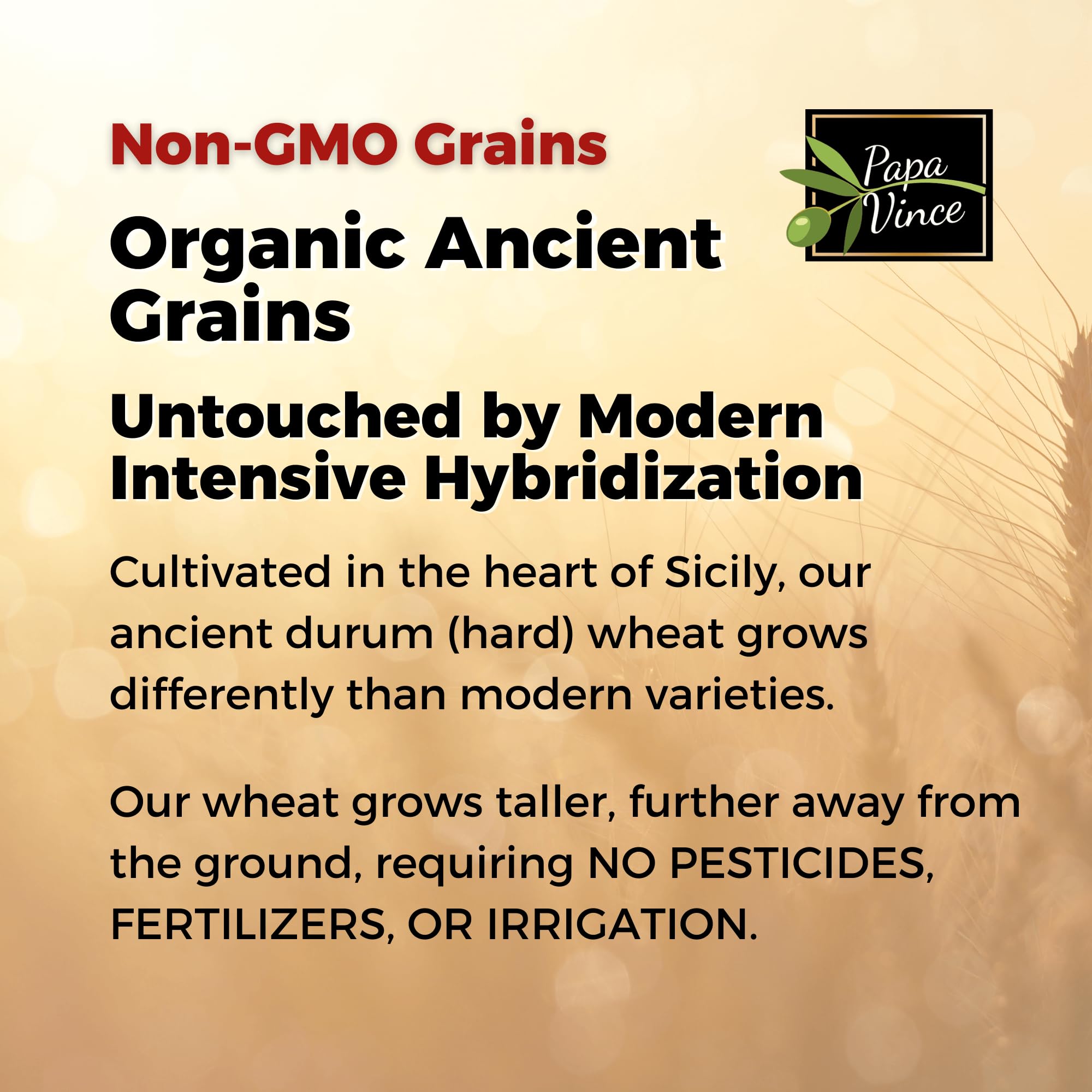 Papa Vince Organic Non Enriched Pasta - Ancient Grain, high in fiber, high in protein, Timilia/Tumminia grown in Sicily Italy. Al dente texture, nutty