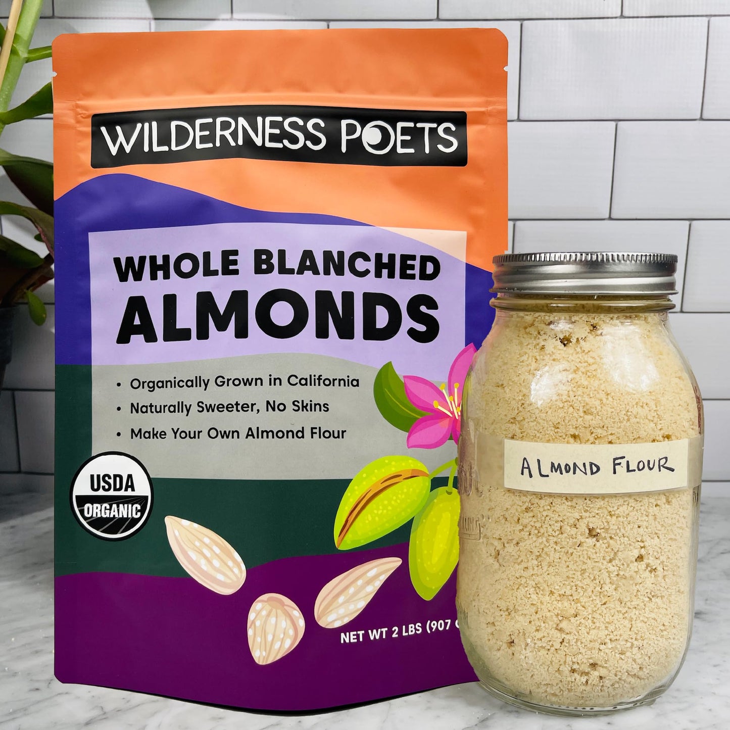 Wilderness Poets, Organic Blanched Almonds - Whole, California-Grown Almonds with No Skins, Unsalted - 2 Pound (Pack of 1)