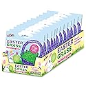 Easter Grass Bubble Gum + For Games, Concessions, Picnics & Parties (12 Packs)