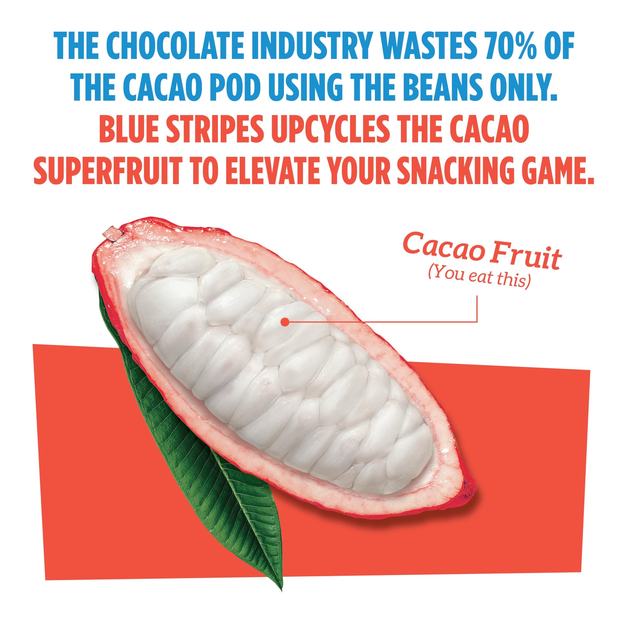Blue Stripes Cacao Fruit Gummies Variety Pack - Fruit Snacks for Kids and Adult | No Sugar Added | Gluten Free, Vegan Chewy Superfruit Gummy | Mango