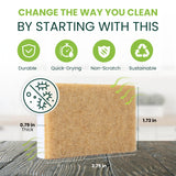 Tieralia Natural Dish Sponge Set - 12-Pack Eco-Friendly & Compostable Scrubbers | Cellulose & Sisal | Non-Toxic, Odor-Free, Reusable Kitchen Sponges