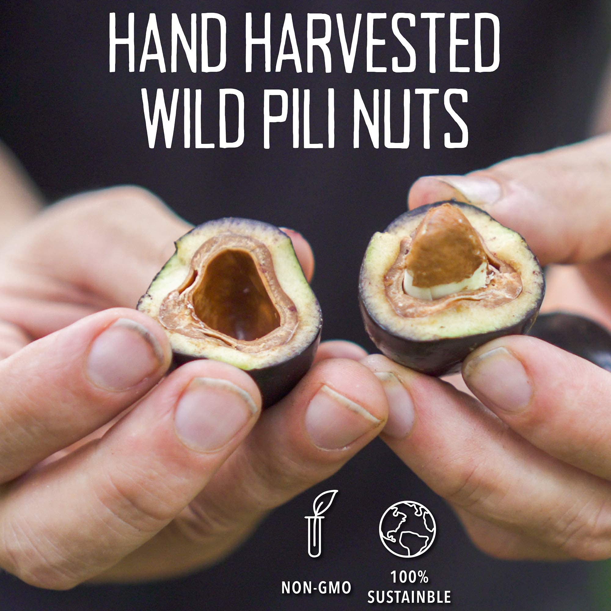 Pili Hunters - Wild Sprouted Pili Nuts, Pink Himalayan Salt, 5oz Bag, Keto/Paleo/Vegan Snacks, Low Carb Energy, Gluten Free, No Sugar Added