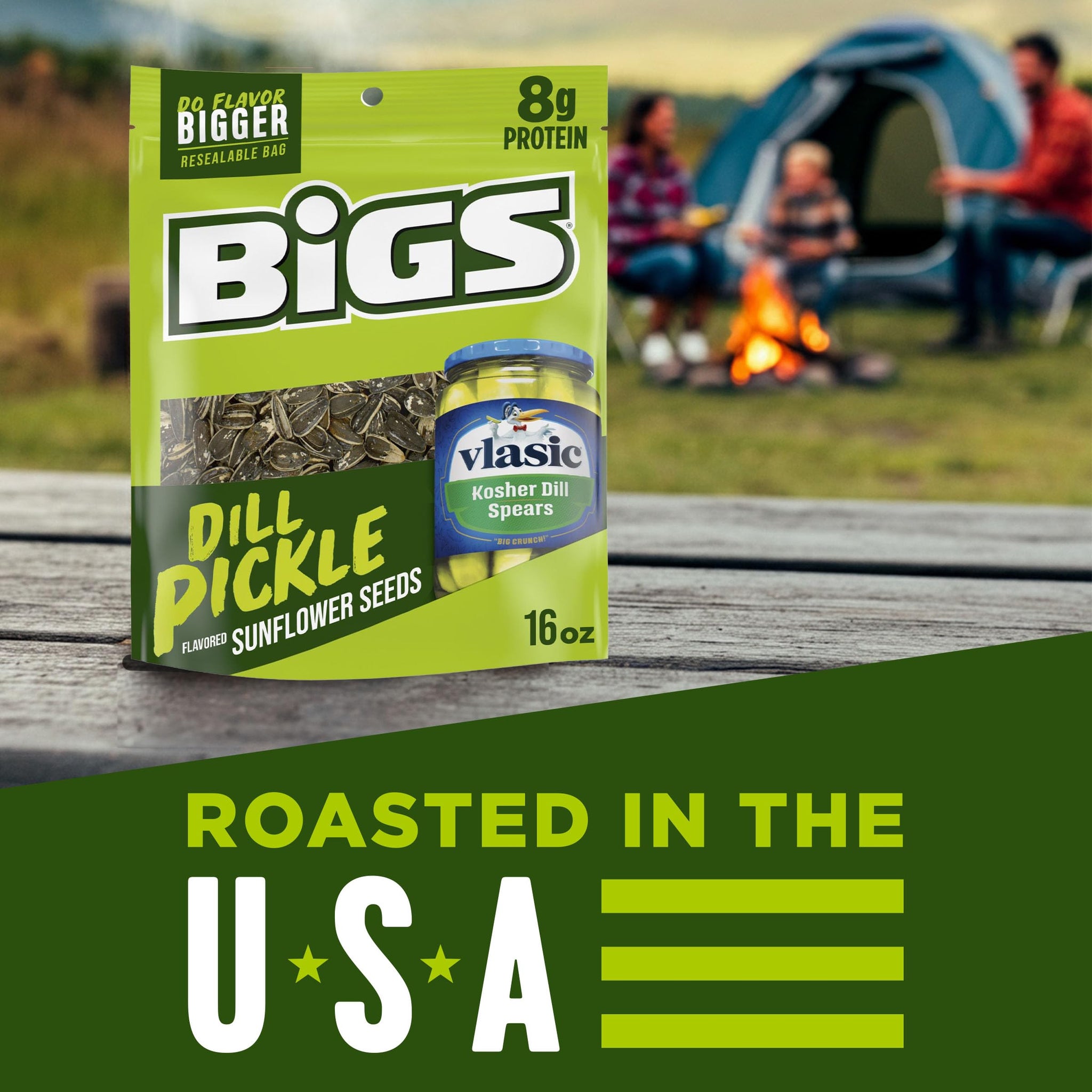 Bigs Vlasic Dill Pickle Sunflower Seeds, 16-Ounce