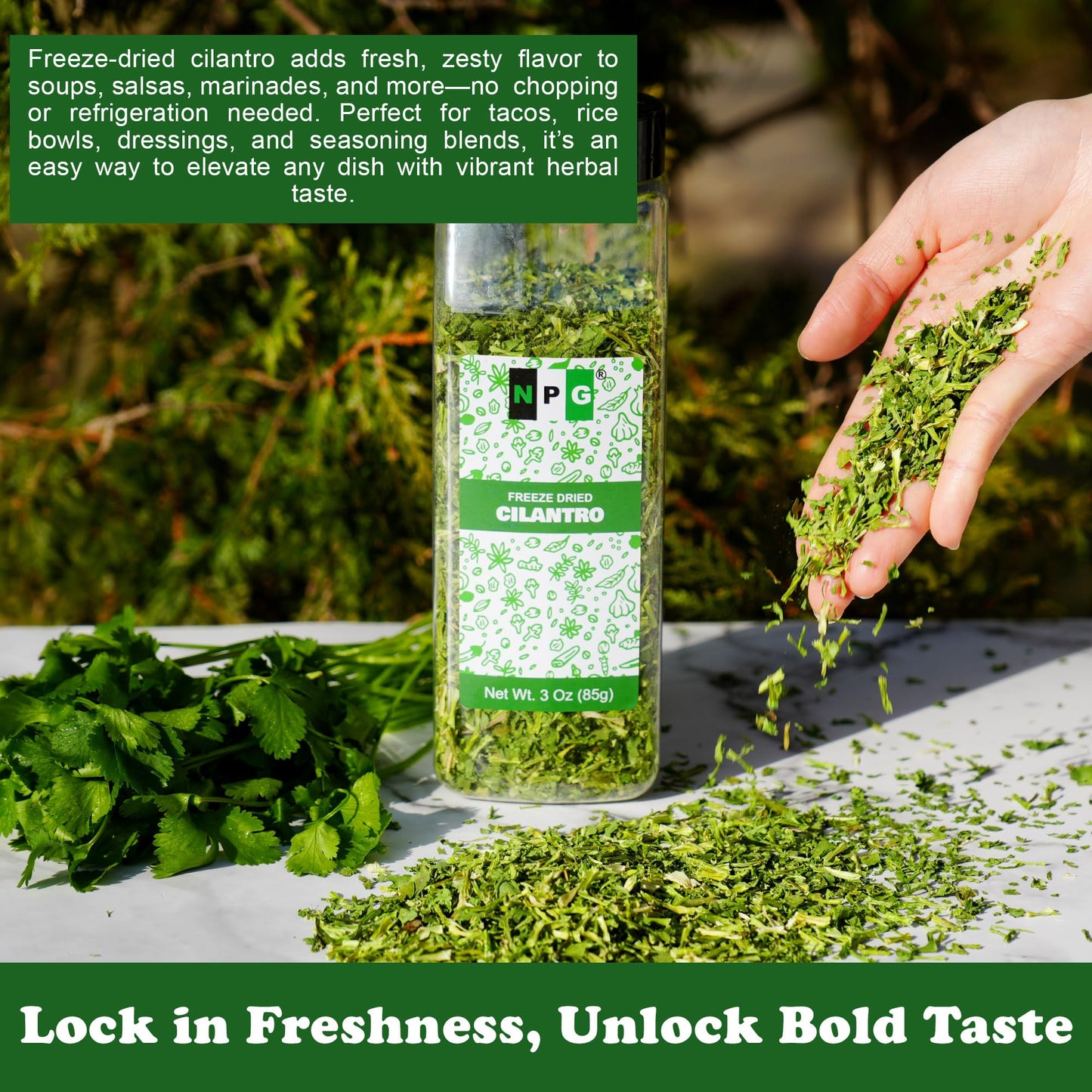 NPG Freeze-Dried Cilantro 3 Oz, Fresh Dehydrated Coriander Flakes, Dhania Leaves, Lime Seasoning, Mexican Spices, Perfect for Cooking, Soups, Salsas
