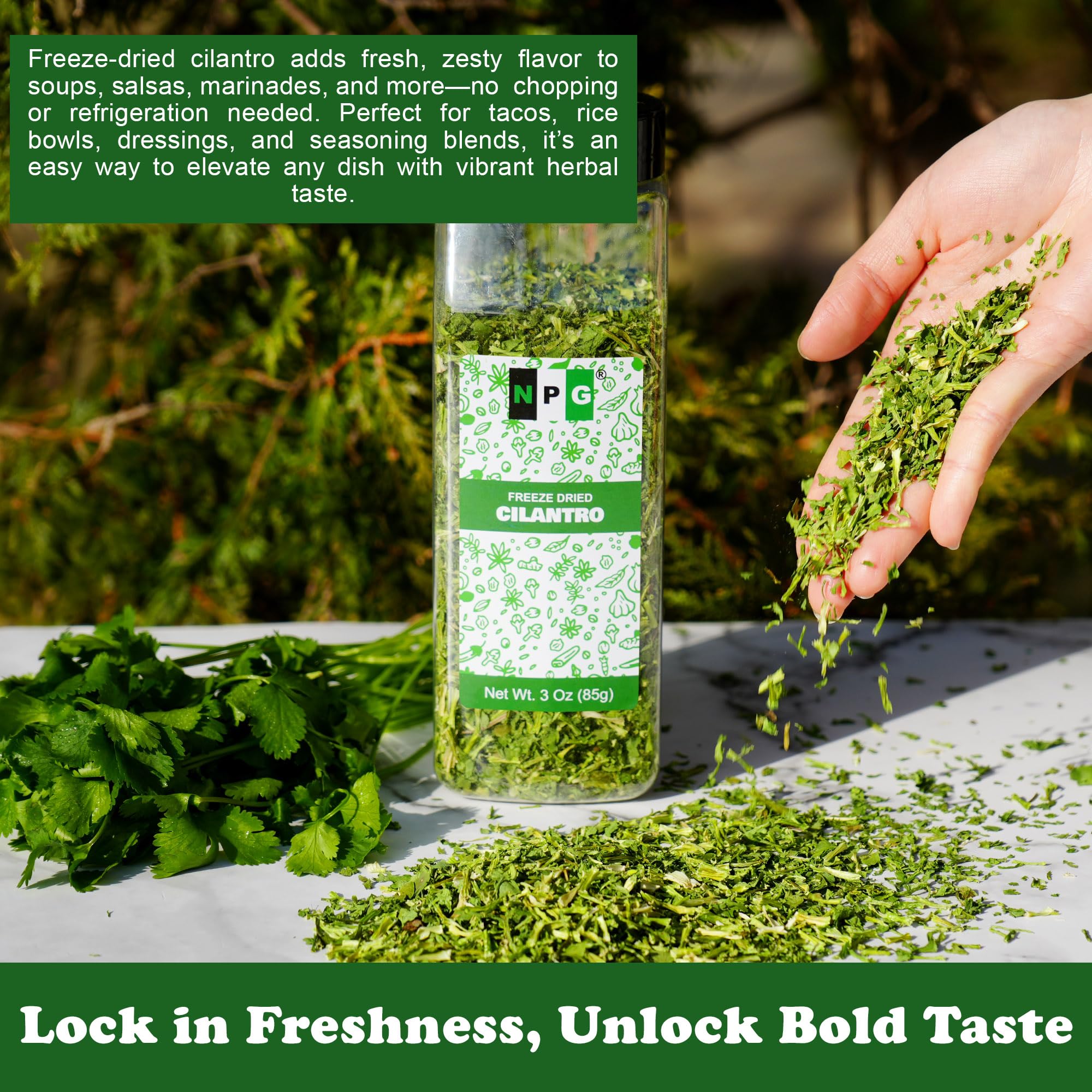 NPG Freeze-Dried Cilantro 3 Oz, Fresh Dehydrated Coriander Flakes, Dhania Leaves, Lime Seasoning, Mexican Spices, Perfect for Cooking, Soups, Salsas