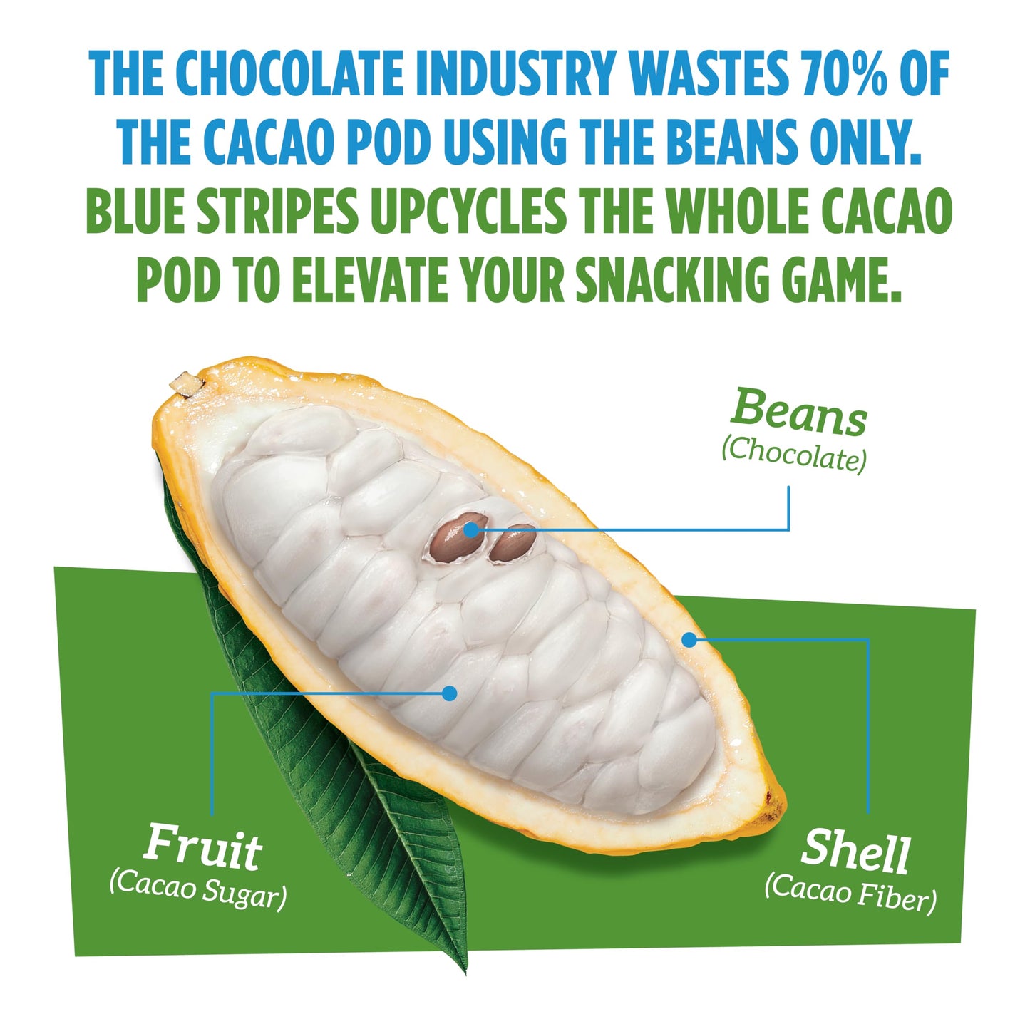 Blue Stripes - Trail Mix, Peanut Butter Banana, Cashews, Peanut Butter Chips, Healthy Snacks for Adults, Whole 70% Cacao, With Unrefined Sugar, Non