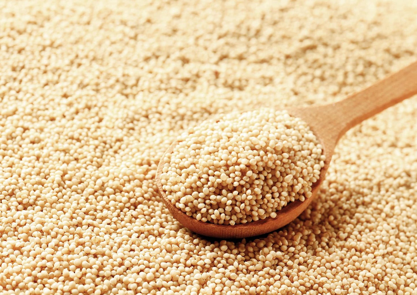 Food to Live Amaranth Grain, 1 Pound - 100% Whole Seeds, Vegan, Kosher, Bulk. Sweet, Nutty Flavor. Rich in Protein, Calcium. Great Alternative to Rice or Quinoa. Great for Cereal, Salads, Soups