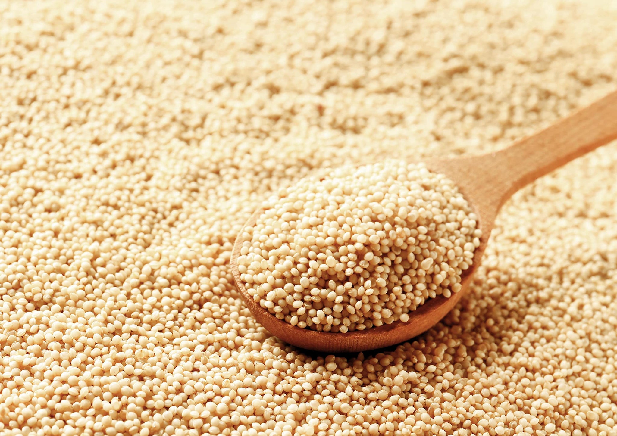Food to Live Amaranth Grain, 1 Pound - 100% Whole Seeds, Vegan, Kosher, Bulk. Sweet, Nutty Flavor. Rich in Protein, Calcium. Great Alternative to Rice or Quinoa. Great for Cereal, Salads, Soups