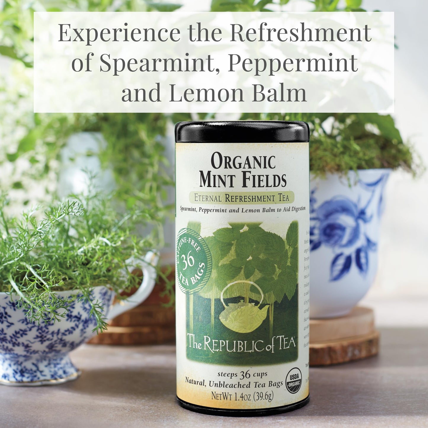 The Republic of Tea - Organic Mint Fields Herbal Tea Bags, Caffeine Free, 36 Servings