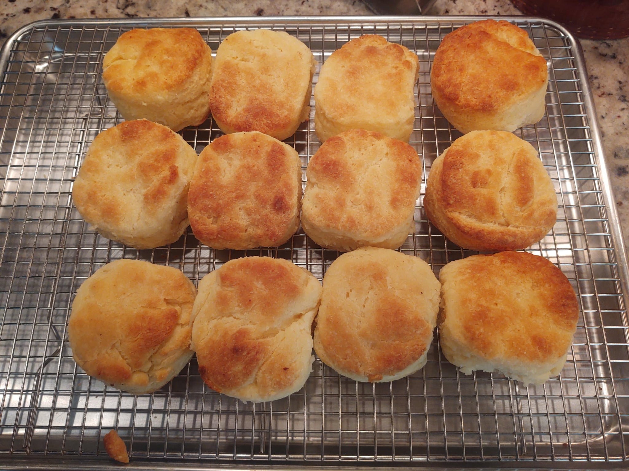 Glutenfreeee Gluten Free Buttermilk Cream Biscuit Mix, 16 Ounce - Delicious, Breakthrough Recipe, Just Like Grandma’s but No Gluten, Easy to Bake