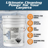 CarpetGeneral - Heavy Duty Carpet Stain Remover 4285 - Easy Clean and Professional Carpet Cleaner Products - Residential & Commercial Multi-Purpose