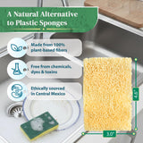 Natural Loofah Kitchen Sponge (XL - 10 Pack) - Natural Sponges for Dishes - Eco Friendly and Compostable Sponges - Biodegradable Plant Based Kitchen